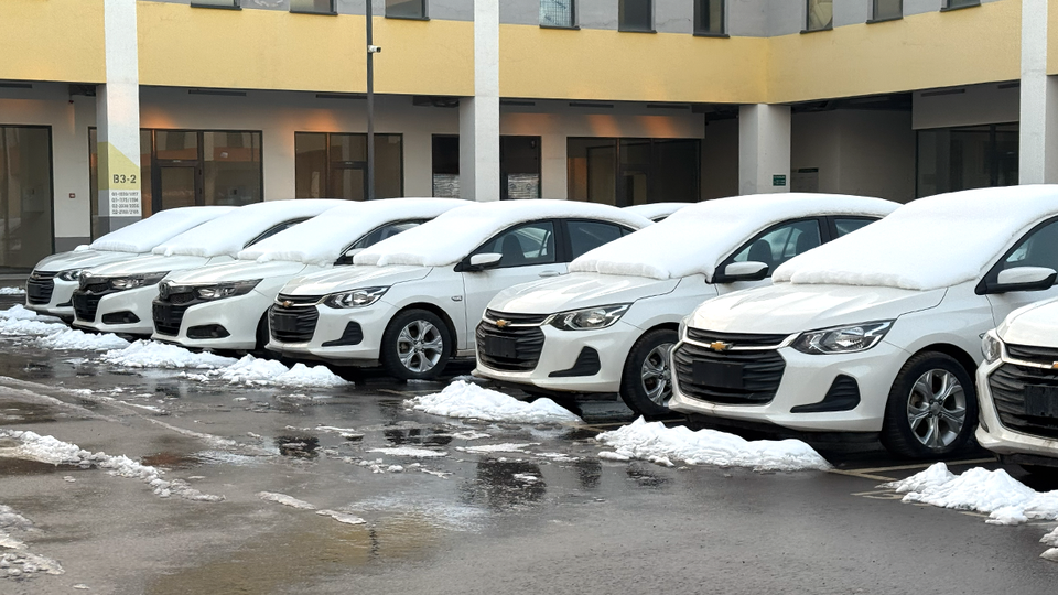 Выдача обычных госномеров приостановлена