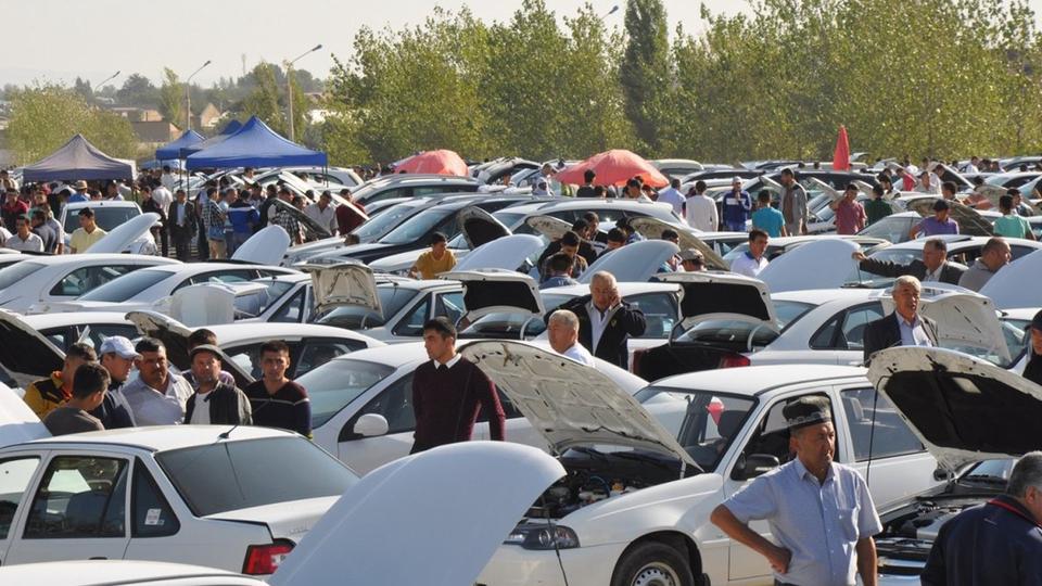 Как выбрать первую машину?