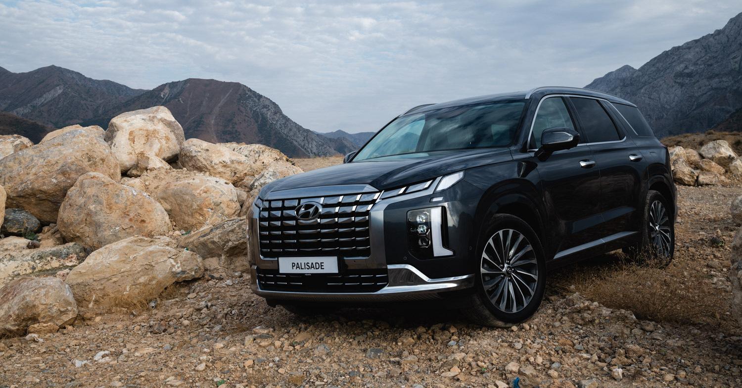 Обновленный PALISADE 