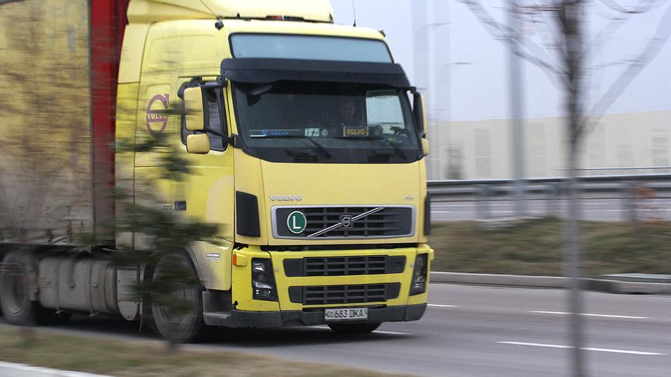 Porno ilonlar bilan jinsiy aloqa