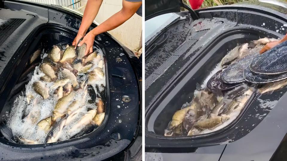 Chevrolet Cobalt стал аквариумом для рыб