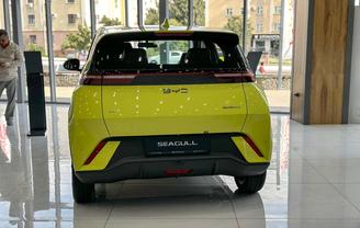 BYD Seagull
