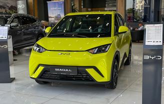 BYD Seagull