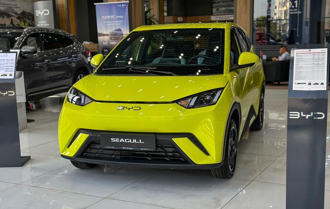 BYD Seagull