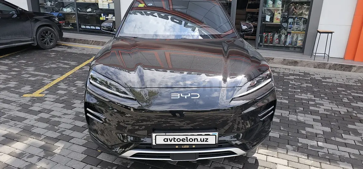 BYD Song Plus EV Champion — 3