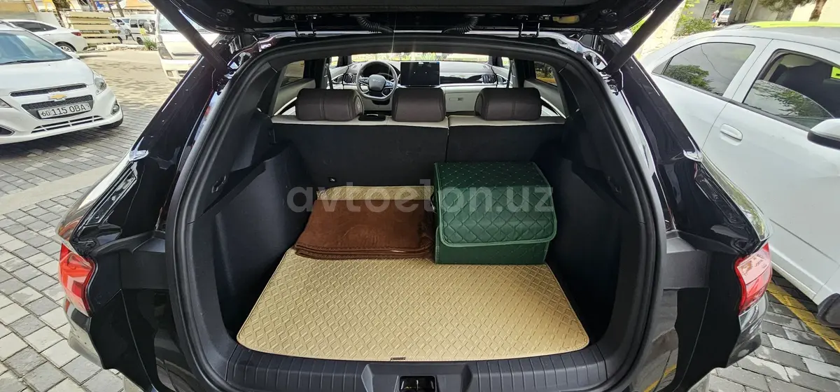 BYD Song Plus EV Champion — 9