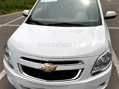 Oq Chevrolet Cobalt, 4 pozitsiya 2024 yil, КПП Avtomat, shahar Urganch uchun ~12 659 у.е. id5127431