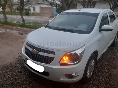 Белый Chevrolet Cobalt, 4 позиция 2019 года, КПП Автомат, в Шерабадский район за ~11 444 y.e. id4954506