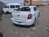 Chevrolet Cobalt, 2 pozitsiya 2020 yil, КПП Mexanika, shahar Navoiy uchun ~8 760 у.е. id5219588, Fotosurat №1