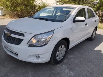 Белый Chevrolet Cobalt, 2 позиция 2024 года, КПП Механика, в Каттакурганский район за ~9 829 y.e. id5174034