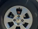 Белый Chevrolet Gentra, 3 позиция 2014 года, КПП Автомат, в Бухара за 9 800 y.e. id5229066, Фото №1