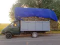 GAZ 1999 yil, shahar Jizzax uchun ~4 401 у.е. id6324855