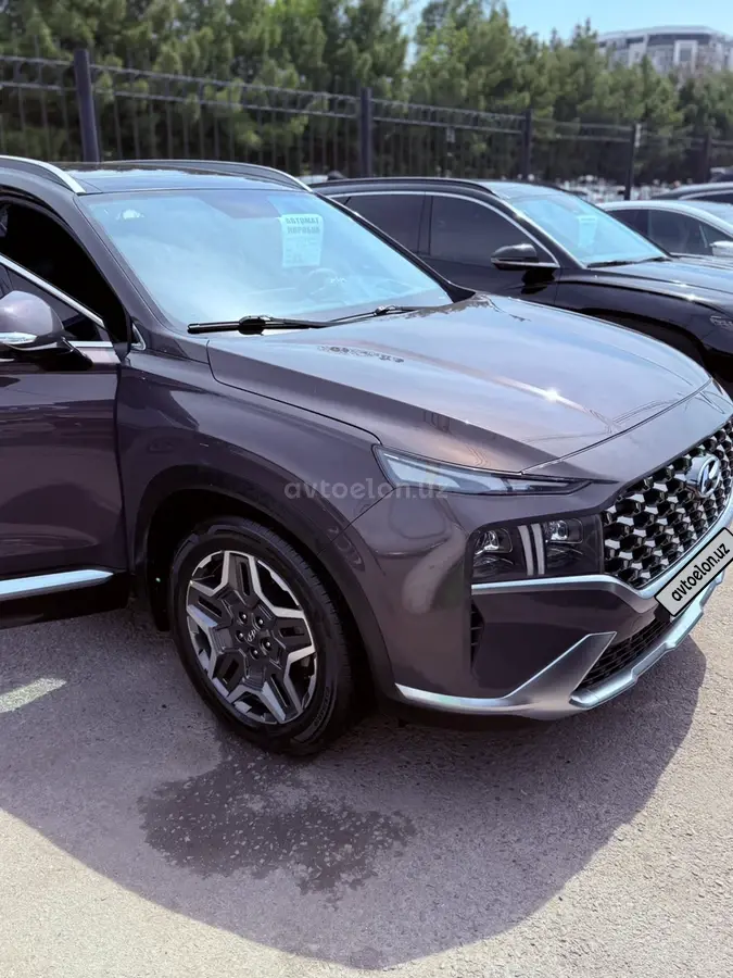 Hyundai Santa Fe 2021 — 5