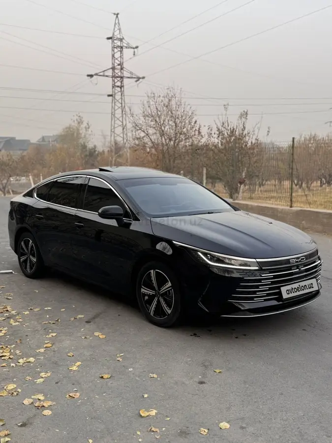 BYD Chazor — 2