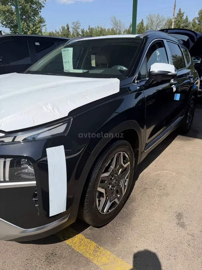 Hyundai Santa Fe — 10