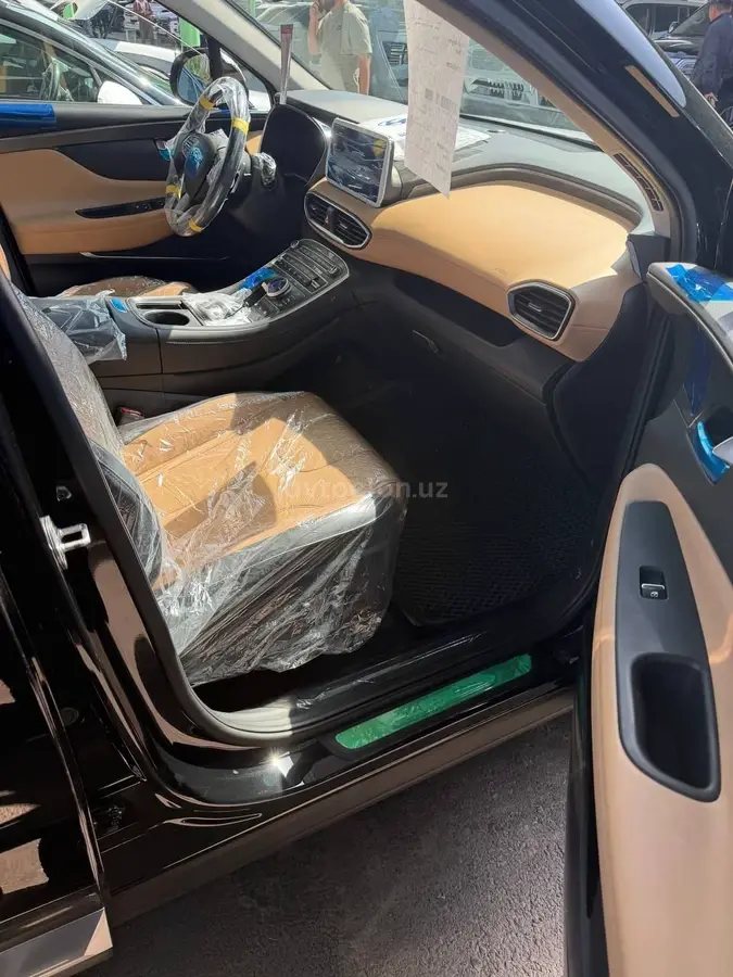 Hyundai Santa Fe — 6