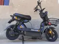 Demansh 2024 года, в Джизак за ~276 y.e. id6441404