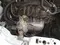 Белый Chevrolet Matiz, 4 позиция 2016 года, КПП Механика, в Ташкент за 4 950 y.e. id5185472