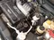 Chevrolet Nexia 2, 4 позиция DOHC 2008 года, КПП Механика, в Карши за ~4 752 y.e. id5127337
