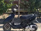 jinlun 2019 года, в Беруни за 300 y.e. id6455029, Фото №1
