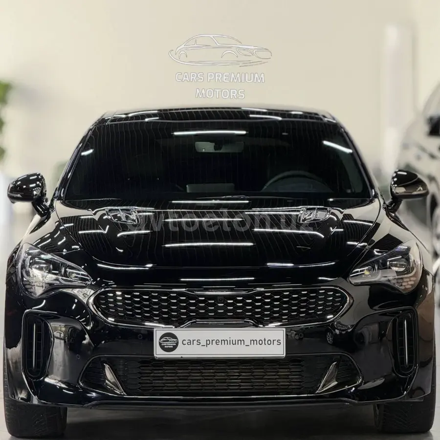 Kia Stinger — 8