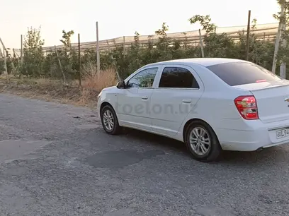 Diska balon в Самарканд за ~364 y.e. id6355275