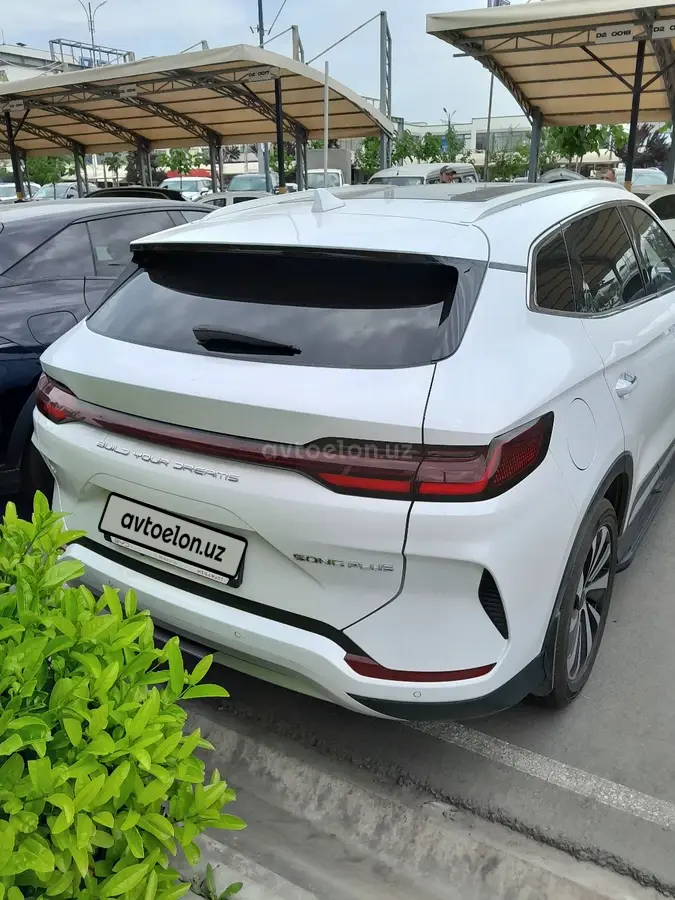 BYD Song Plus DM-i Champion — 2