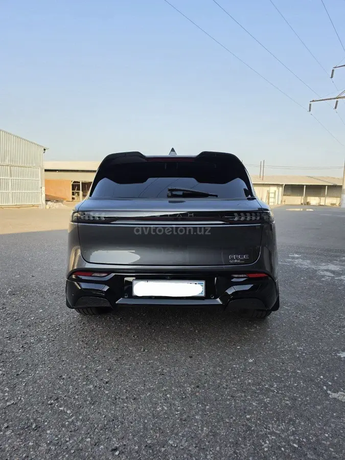 Voyah Free 2024 — 3