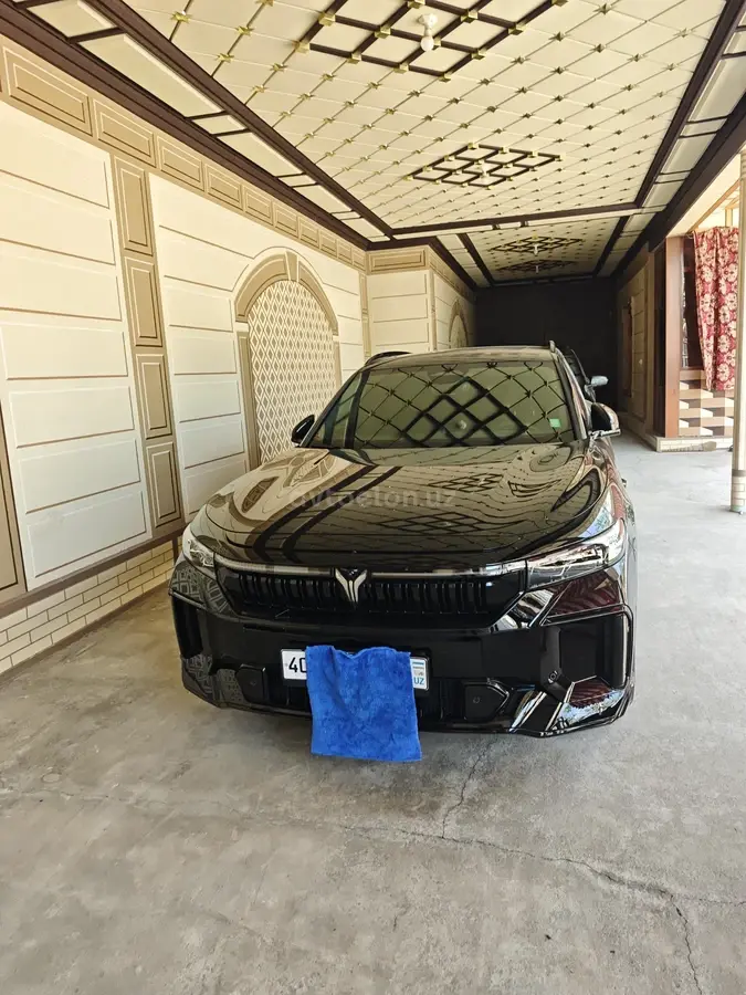 Voyah Free 2025 — 2