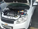 Белый Chevrolet Nexia 3 2018 года, КПП Механика, в Ташкент за 9 000 y.e. id5214663, Фото №1