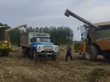 ZiL 1979 yil, shahar Andijon uchun 8 500 у.е. id6492611, Fotosurat №1