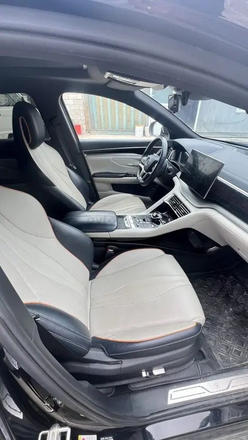 BYD Song Plus EV — 5