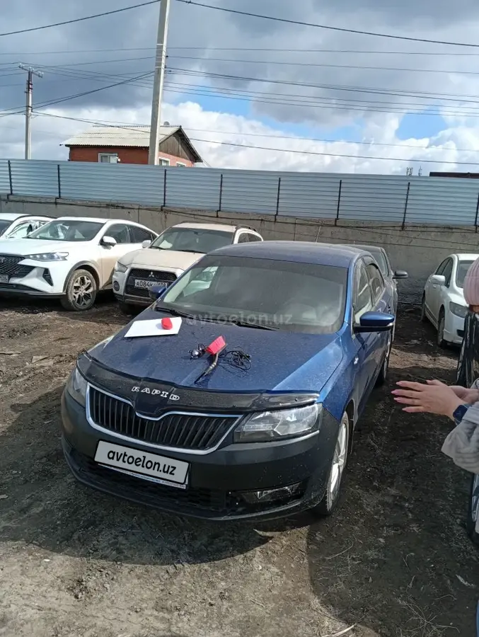 Skoda Rapid