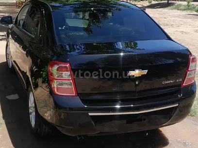 Chevrolet Cobalt, 4 позиция 2024 года, КПП Автомат, в Беруни за ~12 744 y.e. id5191973