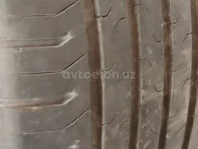 Diska balon uman yamoq yoʻq garantiya dur alemen в Самарканд за 1 500 000 y.e. id6462095