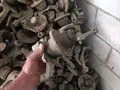 Stupitsalar sotiladi в Бухара за ~8 y.e. id6601359