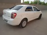 Белый Chevrolet Cobalt, 2 позиция 2019 года, КПП Механика, в Узунский район за ~9 705 y.e. id5222808, Фото №1