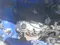 Синий Daewoo Tico 2001 года, КПП Механика, в Самарканд за ~2 222 y.e. id5162297
