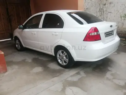 Белый Chevrolet Nexia 3, 4 позиция 2020 года, КПП Автомат, в Учкуприкский район за 9 750 y.e. id5166268