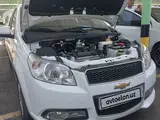 Белый Chevrolet Nexia 3, 4 позиция 2020 года, КПП Автомат, в Ташкент за 9 800 y.e. id5194584, Фото №1
