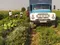 ZiL 1981 yil, shahar Jizzax uchun ~7 875 у.е. id6406762