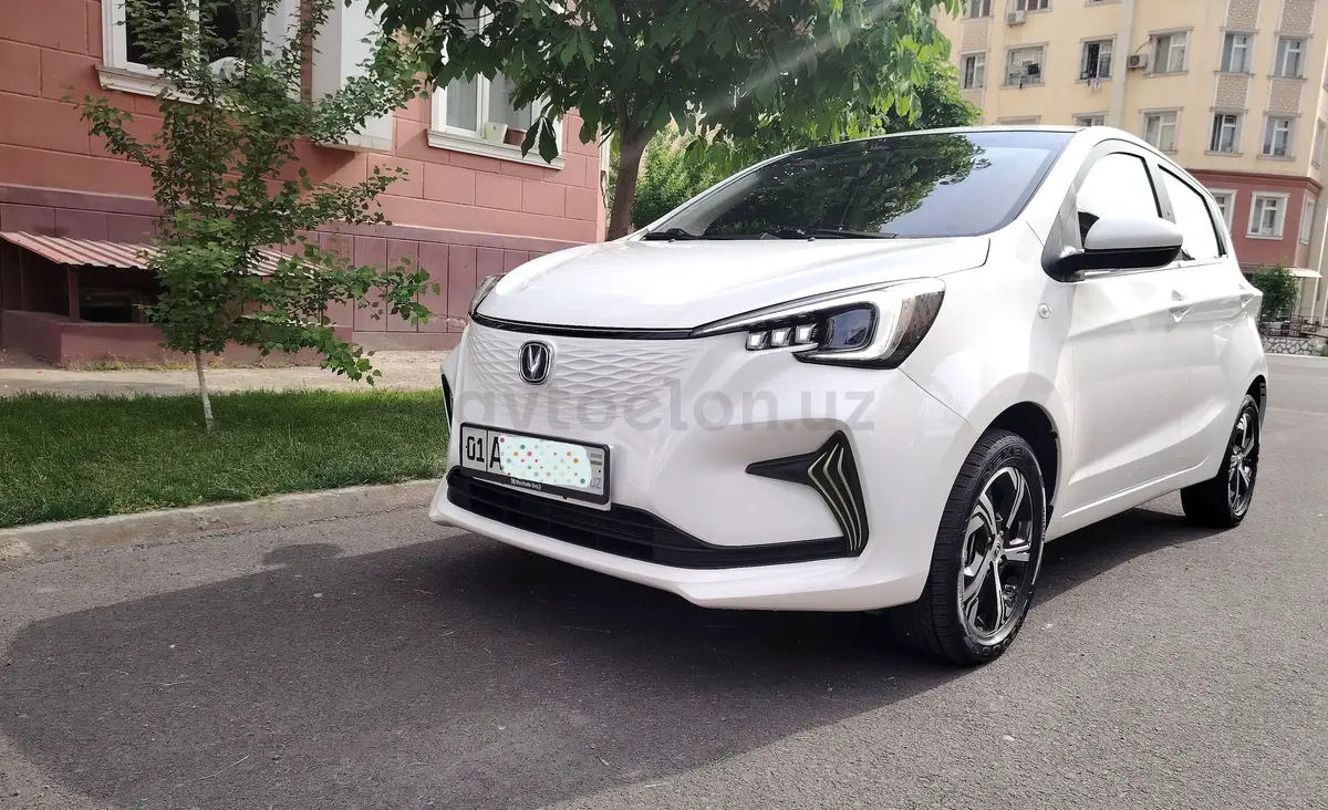 Changan Benben E-Star