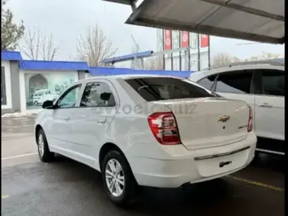 Chevrolet Cobalt, 4 pozitsiya 2024 yil, КПП Avtomat, shahar Urganch uchun ~12 425 у.е. id5199038