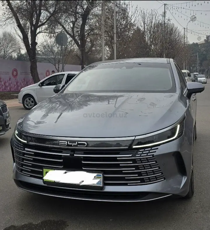 BYD Chazor — 2
