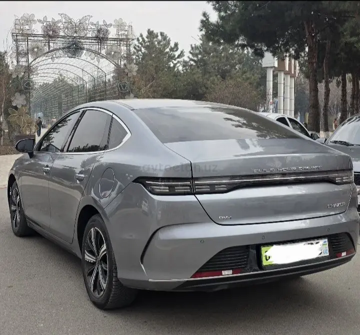 BYD Chazor — 3