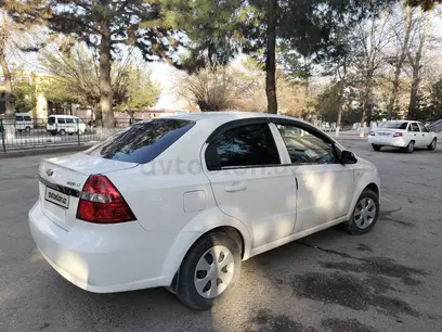 Oq Chevrolet Nexia 3, 2 pozitsiya 2019 yil, shahar Samarqand uchun 9 500 у.е. id4885185