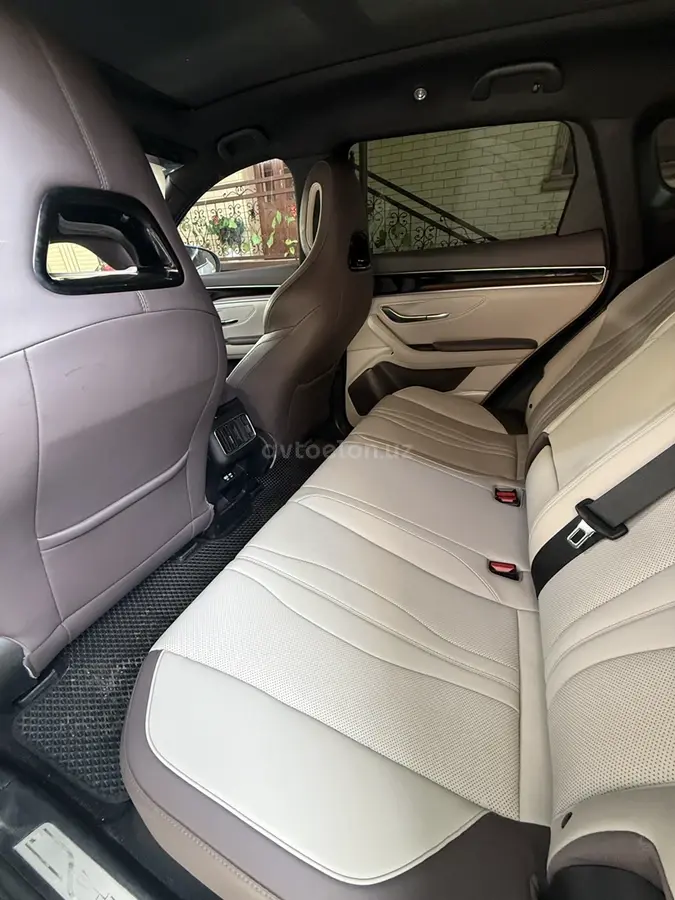 BYD Song Plus EV Champion — 6