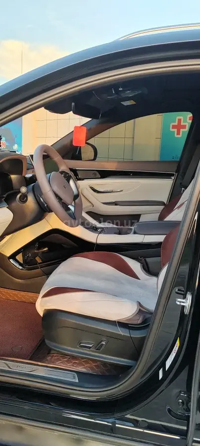 BYD Song Plus Champion Edition — 10