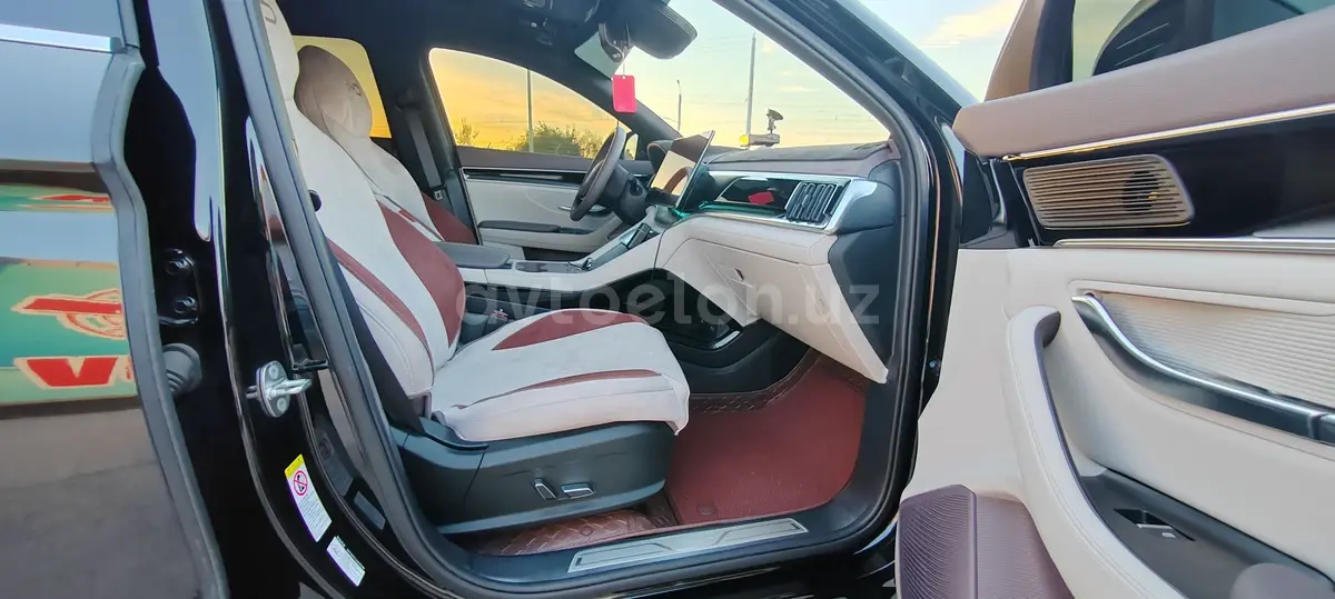 BYD Song Plus Champion Edition — 8
