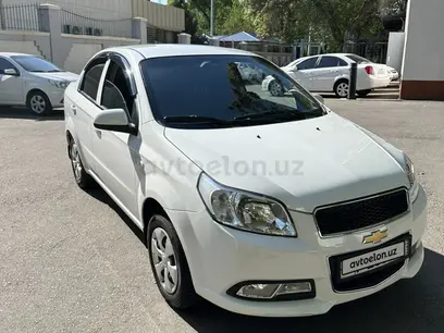 Белый Chevrolet Nexia 3, 2 позиция 2019 года, КПП Механика, в Ташкент за 9 100 y.e. id4971724